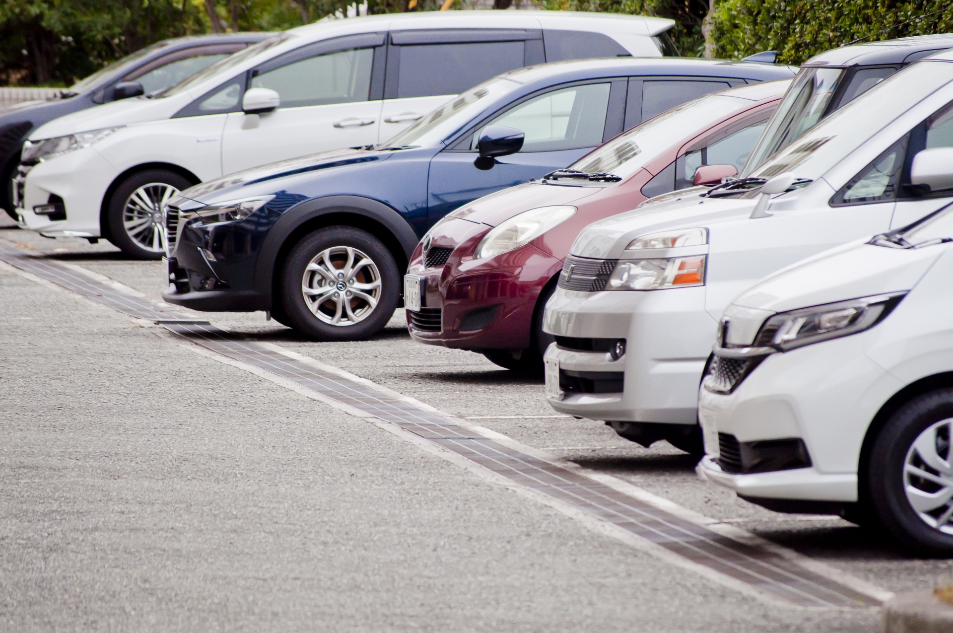 選べる楽しさ！豊富な車種